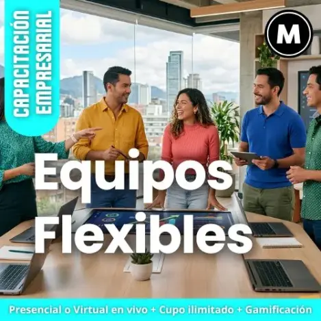 Equipos Flexibles MENTORING Mk