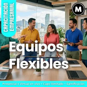 Equipos Flexibles MENTORING Mk