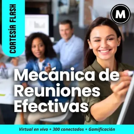 Mecánica de Reuniones Efectivas MENTORING Mk