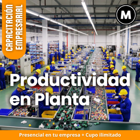 cómo mejorar productividad en mi empresa; soluciones para baja productividad laboral; aumentar eficiencia equipo de trabajo; capacitación para equipos improductivos; diagnóstico de productividad empresarial; consultoría para optimizar procesos; problemas de gestión del tiempo en empresas; cómo hacer a mis empleados más productivos